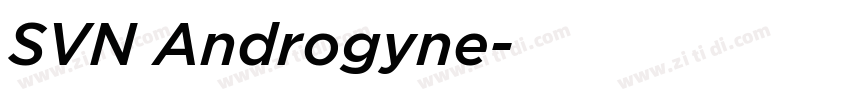 SVN Androgyne字体转换